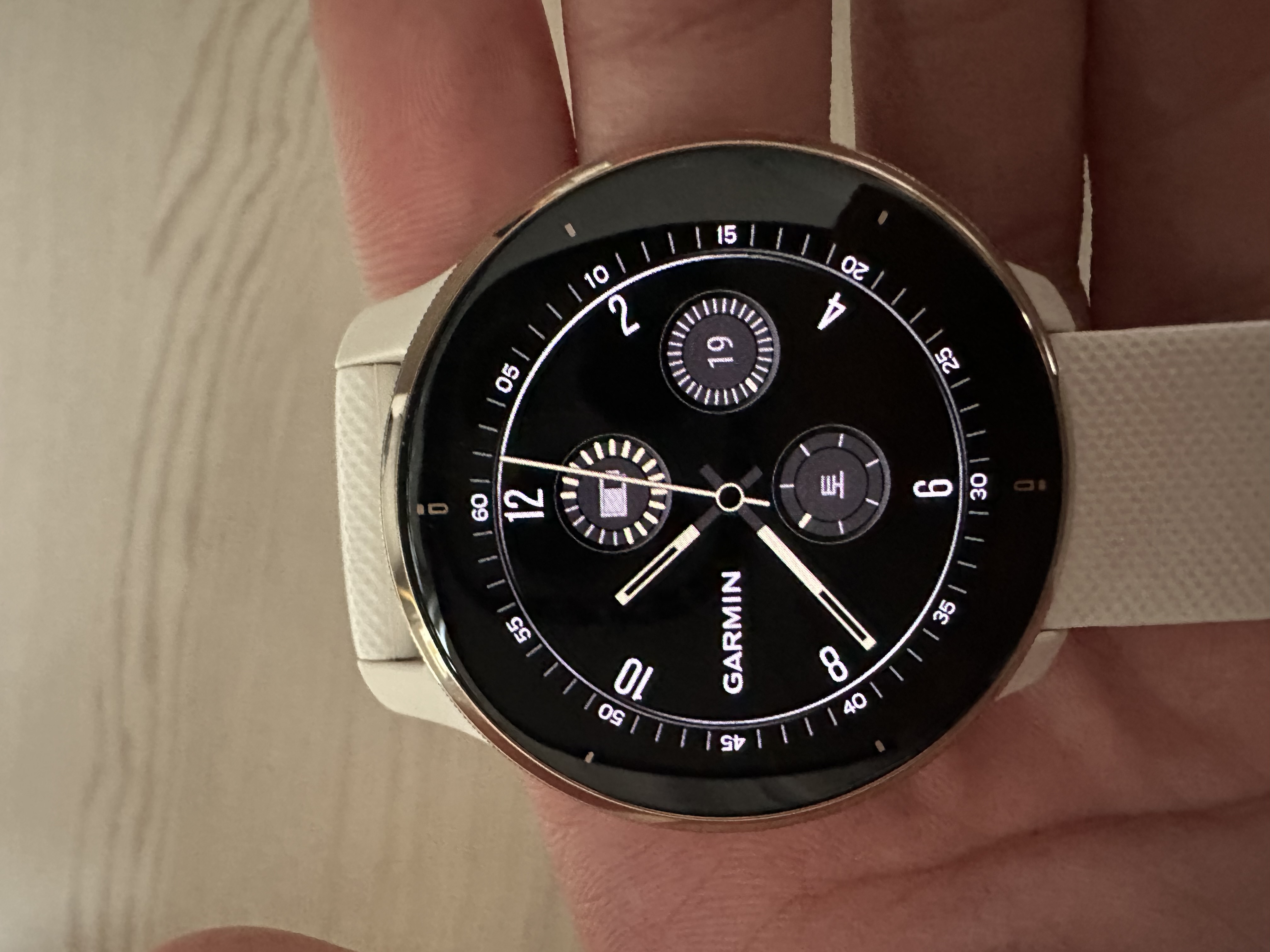 가민 VENU 2 PLUS