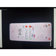 갤럭시폴드1
